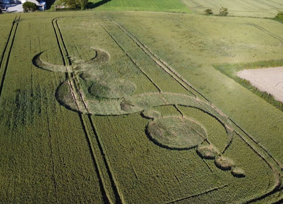 2024年6月8日法国Sainte-GeneviÃ¨ve麦田怪圈