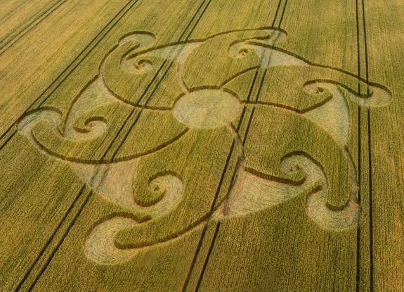 2024年8月8日英国Etchilhampton麦田怪圈