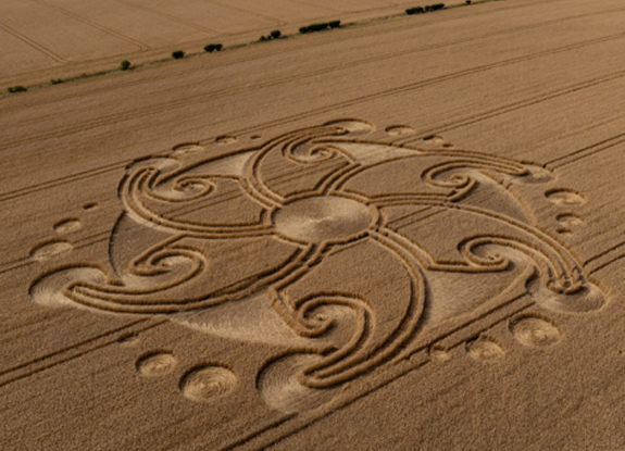 2024年8月8日英国Etchilhampton麦田怪圈