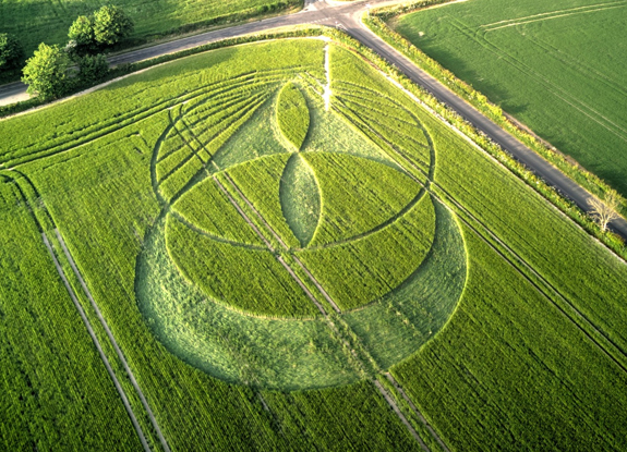 2025年5月18日英国Culliford Tree Barrow麦田怪圈