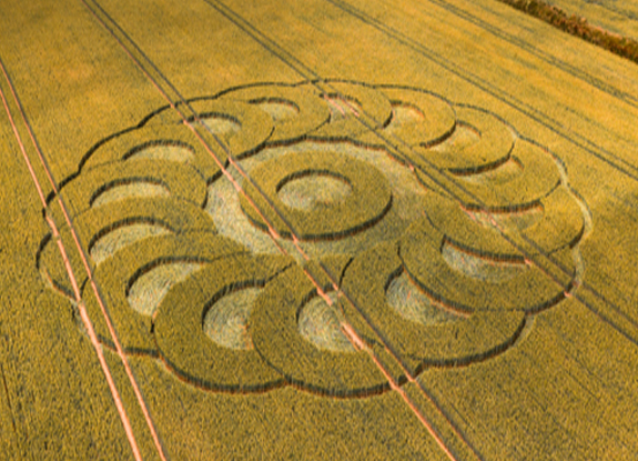 2025年6月28日英国Lime Regis麦田怪圈