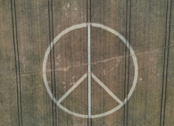 2025年6月24日英国Shepton Mallet麦田怪圈