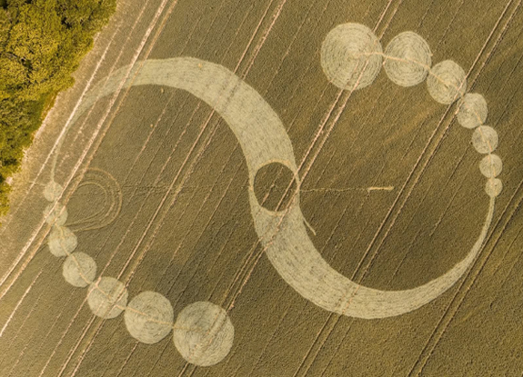 2025年6月23日英国Shaftesbury麦田怪圈