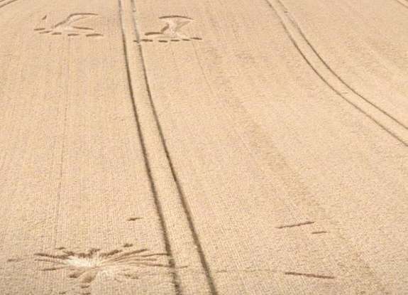 2025年7月25日英国Wilmington麦田怪圈