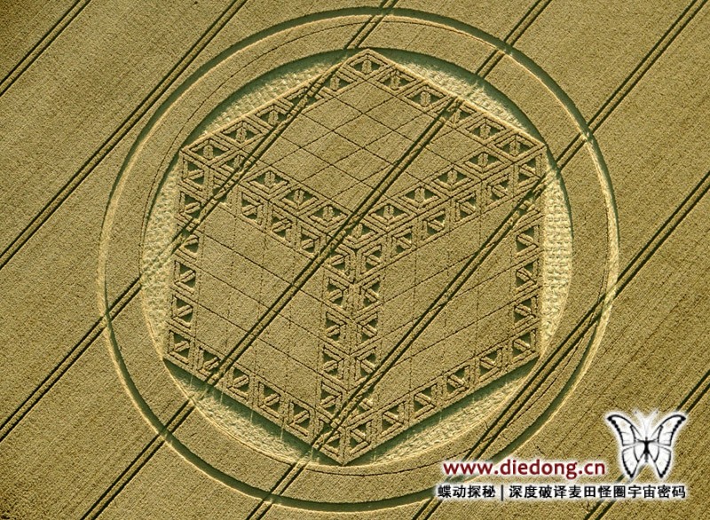 2012年8月26日英国Hackpen Hill Wiltshire麦田怪圈