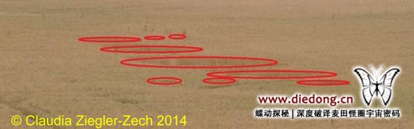 2014年6月20日德国Billingheim-Ingenheim麦田怪圈