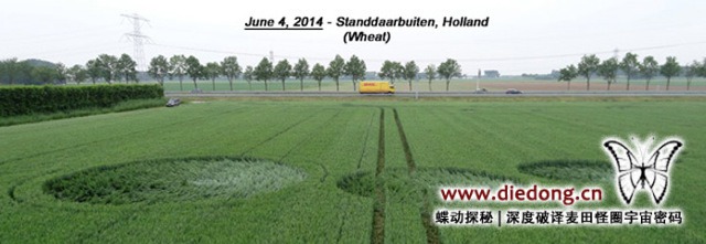 2014年6月4日荷兰Standdaarbuiten麦田怪圈