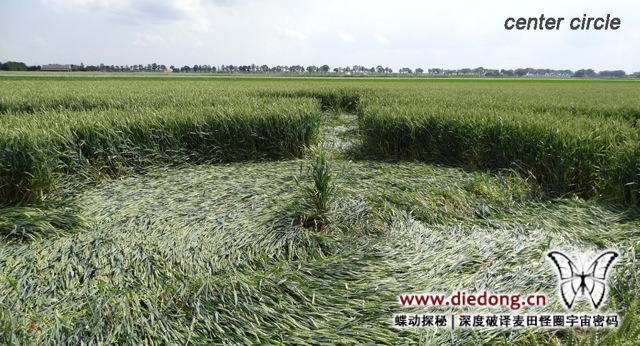 2014年6月26日荷兰Standdaarbuiten麦田怪圈