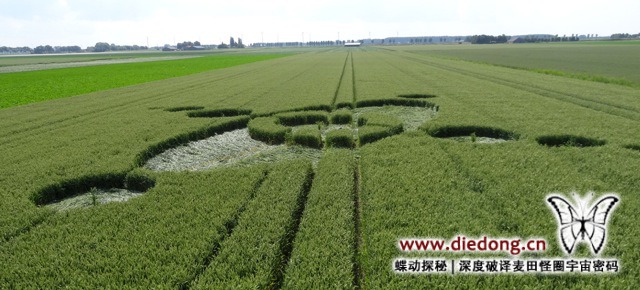 2014年6月26日荷兰Standdaarbuiten麦田怪圈