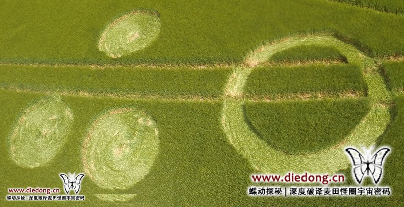 2014年6月26日英国The Ridgeway麦田怪圈