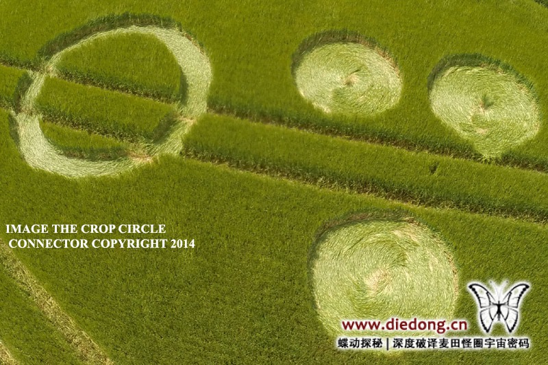 2014年6月26日英国The Ridgeway麦田怪圈