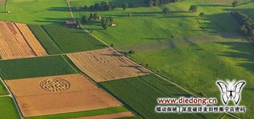 2014年7月18日德国Ammersee麦田怪圈