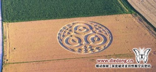 2014年7月18日德国Ammersee麦田怪圈