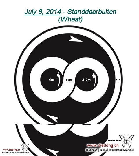 2014年7月8日荷兰Standdaarbuiten麦田怪圈