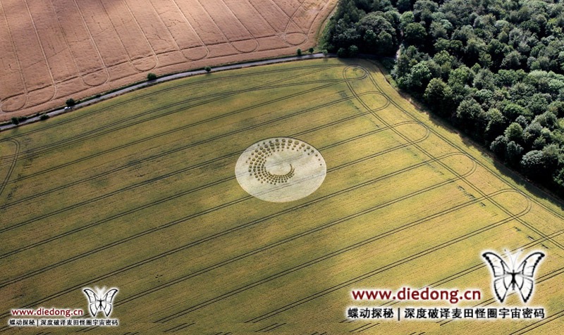 2014年7月16日英国Forest Hill麦田怪圈