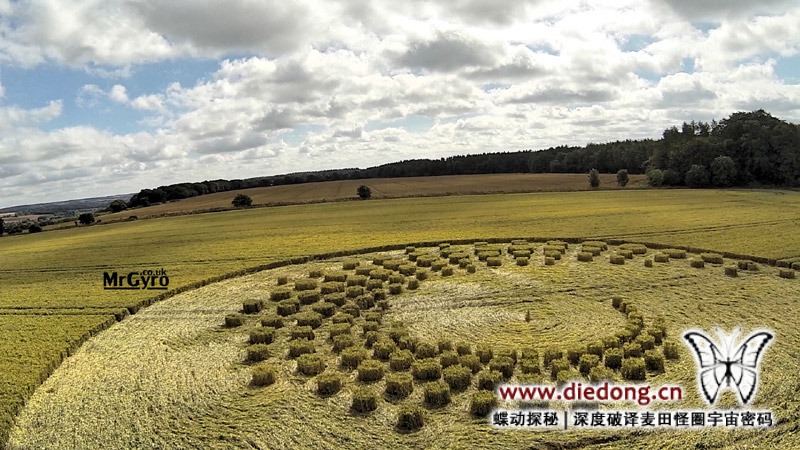 2014年7月16日英国Forest Hill麦田怪圈