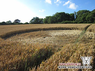 2014年7月18日英国Lower Bourton麦田怪圈