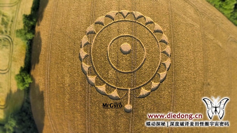 2014年7月15日英国Macmillan Way麦田怪圈