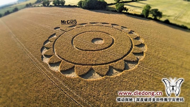 2014年7月15日英国Macmillan Way麦田怪圈