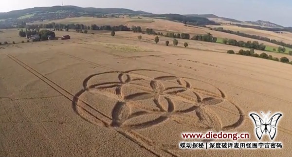 2014年8月1日德国Dornberg麦田怪圈