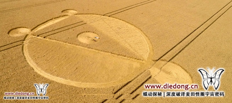 2014年8月5日英国Cow Down麦田怪圈