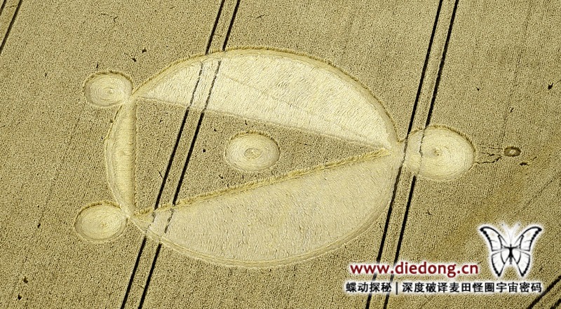 2014年8月5日英国Cow Down麦田怪圈