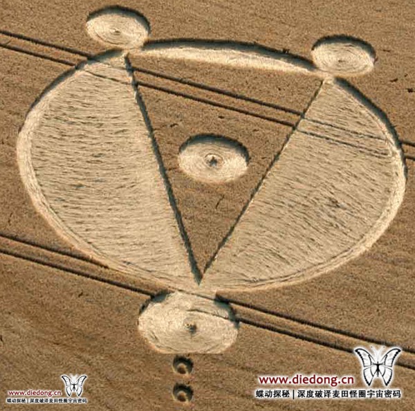 2014年8月5日英国Cow Down麦田怪圈