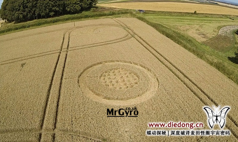 2014年8月6日英国The Ridgeway麦田怪圈