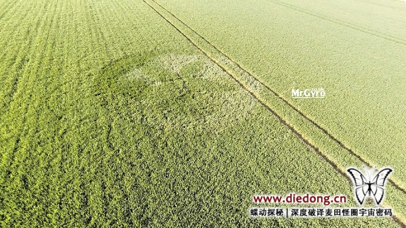 2015年4月19日英国Macmillan Way麦田怪圈