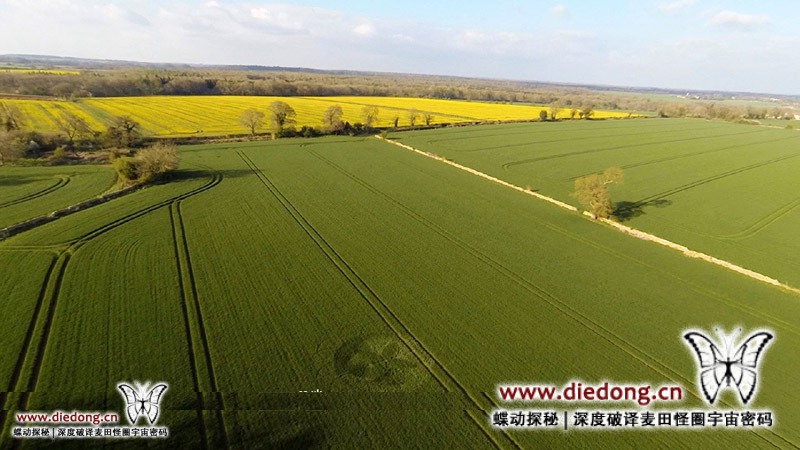 2015年4月19日英国Macmillan Way麦田怪圈