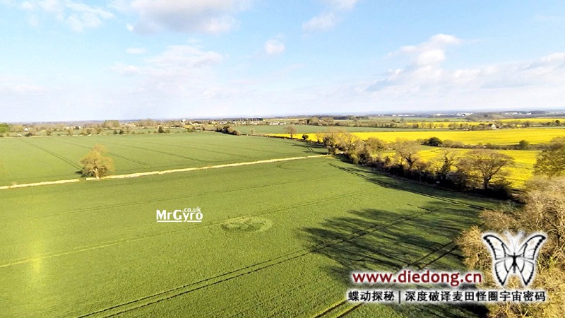 2015年4月19日英国Macmillan Way麦田怪圈