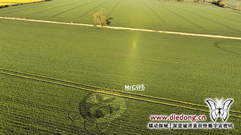 2015年4月19日英国Macmillan Way麦田怪圈