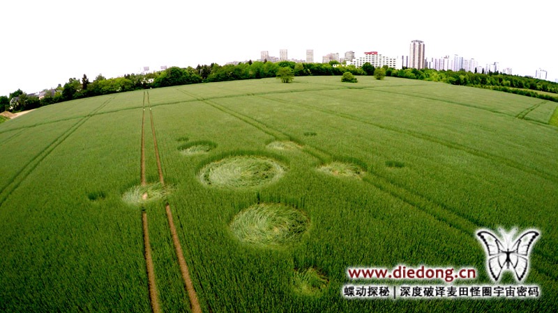 2015年5月18日德国Ringslebenstrase麦田怪圈