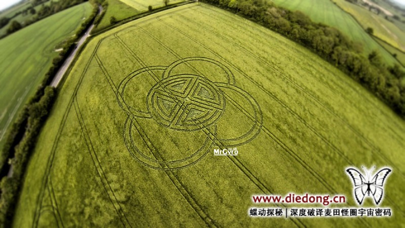2015年5月30日英国Fox Ground Down麦田怪圈