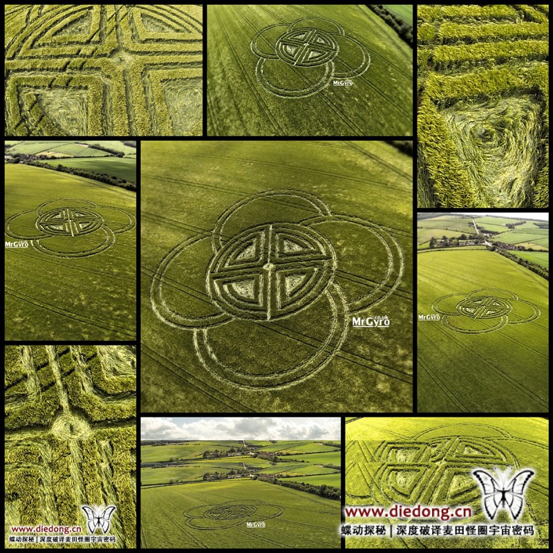 2015年5月30日英国Fox Ground Down麦田怪圈