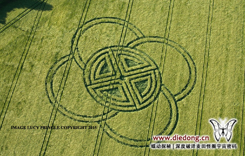 2015年5月30日英国Fox Ground Down麦田怪圈