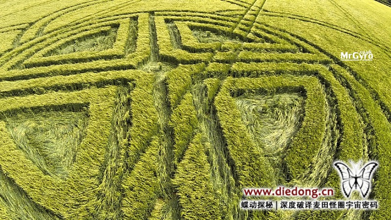 2015年5月30日英国Fox Ground Down麦田怪圈