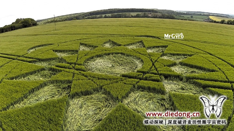 2015年5月24日英国Manton Drove麦田怪圈