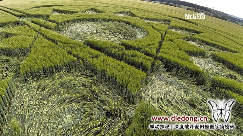 2015年5月24日英国Manton Drove麦田怪圈