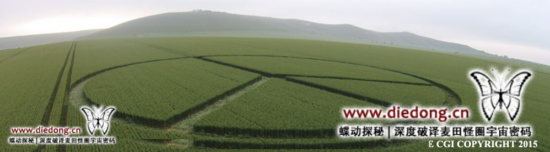 2015年6月16日英国Devizes Road麦田怪圈