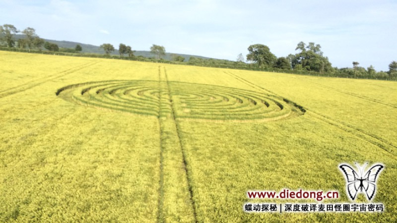 2015年6月22日英国Sunnyside麦田怪圈