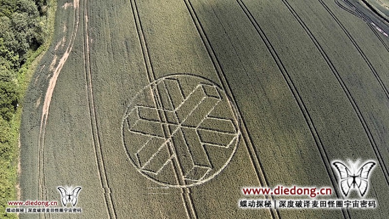 2015年6月22日英国Upper Rapeland Wood麦田怪圈
