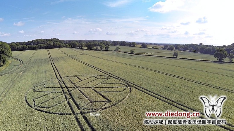 2015年6月22日英国Upper Rapeland Wood麦田怪圈