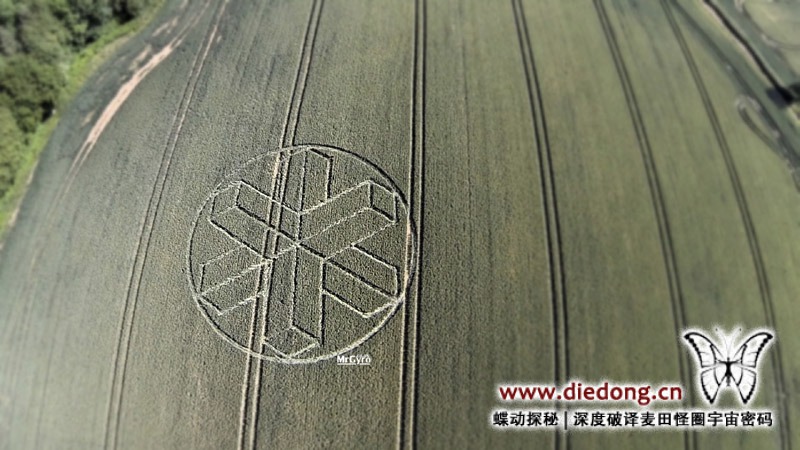 2015年6月22日英国Upper Rapeland Wood麦田怪圈