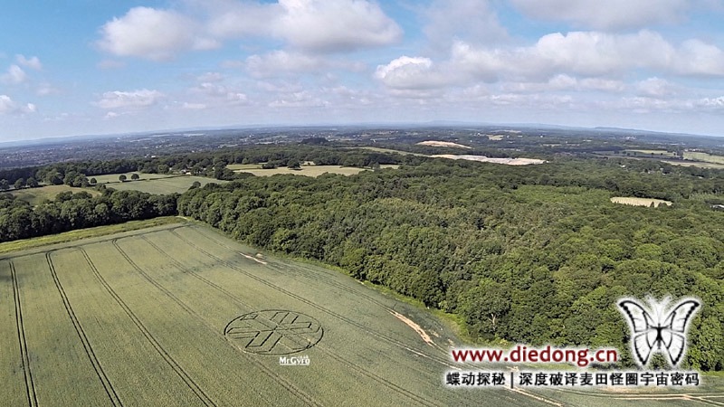 2015年6月22日英国Upper Rapeland Wood麦田怪圈
