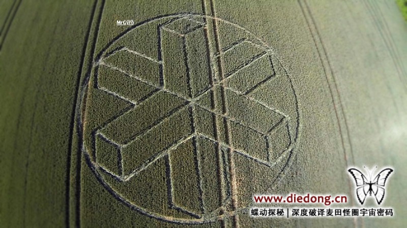 2015年6月22日英国Upper Rapeland Wood麦田怪圈