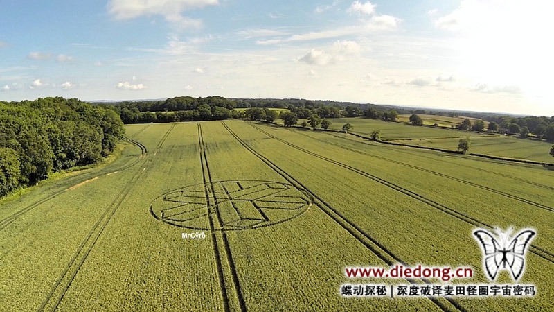 2015年6月22日英国Upper Rapeland Wood麦田怪圈
