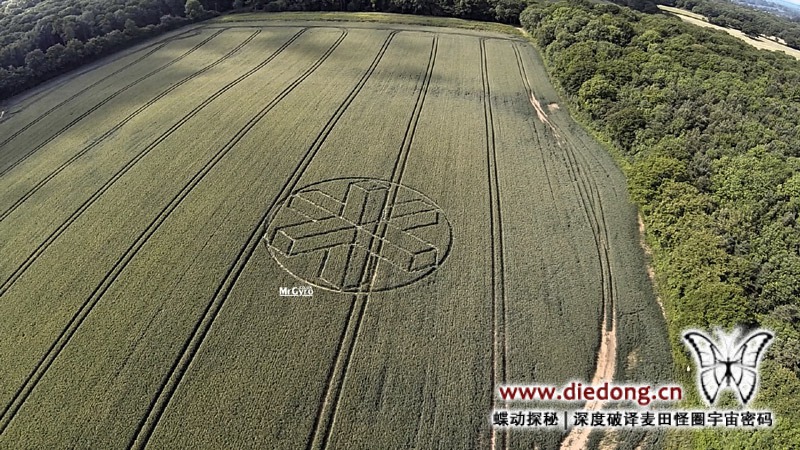 2015年6月22日英国Upper Rapeland Wood麦田怪圈