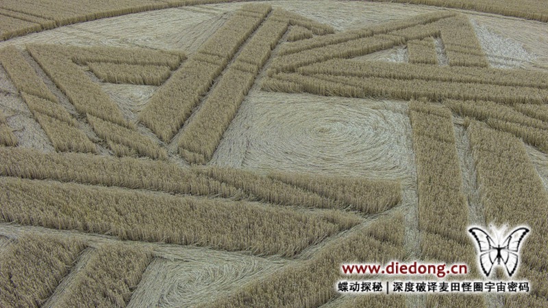 2015年7月16日德国Mnchener Berg麦田怪圈