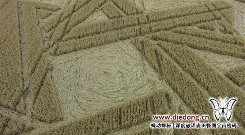 2015年7月16日德国Mnchener Berg麦田怪圈